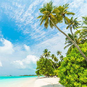 ¿Qué influye en el precio de un Viaje a Maldivas?