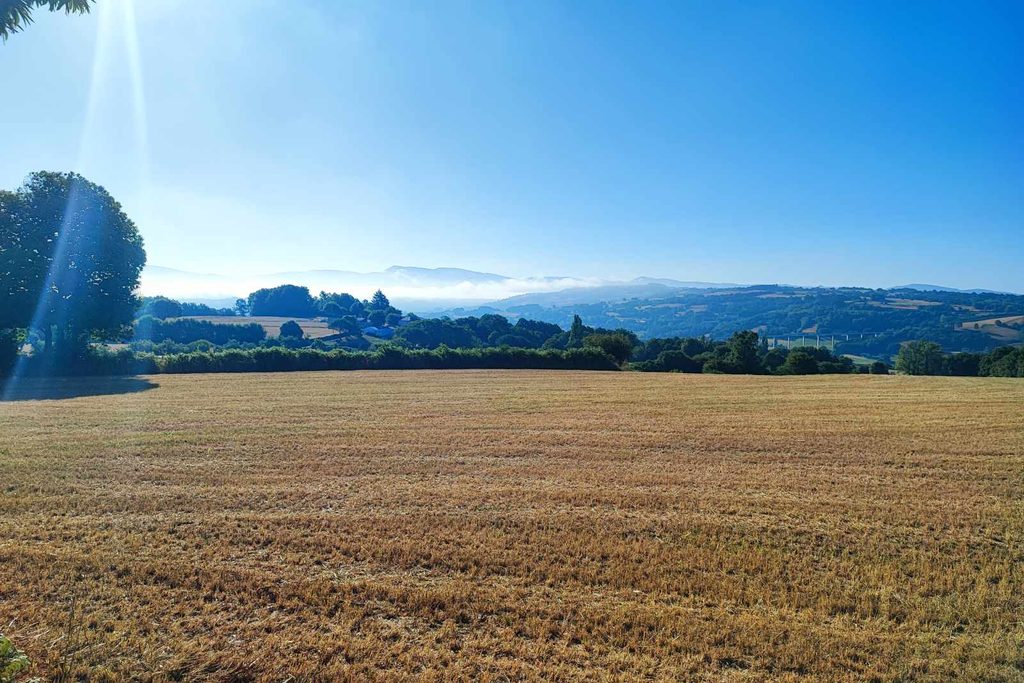 Campo dorado por el sol en el camino de Santiago en verano.
